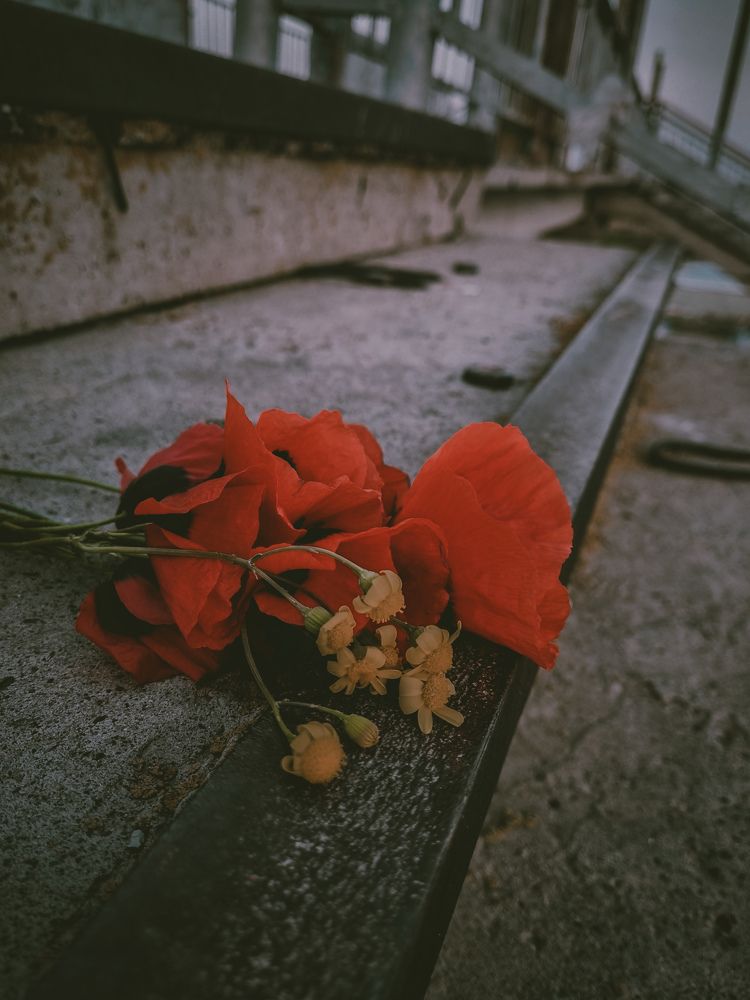 Photograph by Евгения Бицунова