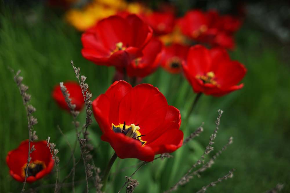 Photograph by Армен Арутюнов