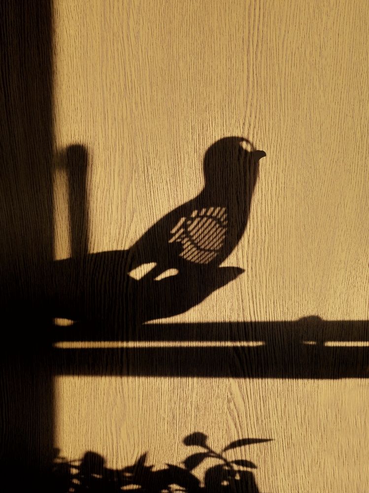 Фотография автора Ольга Кунакова