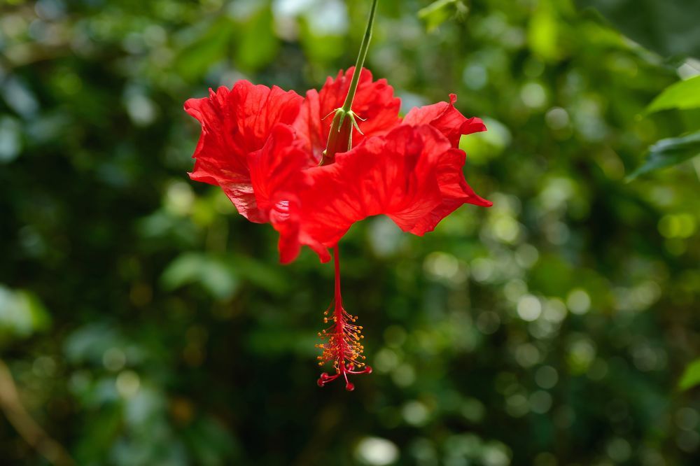 Photograph by Евгений Рощин