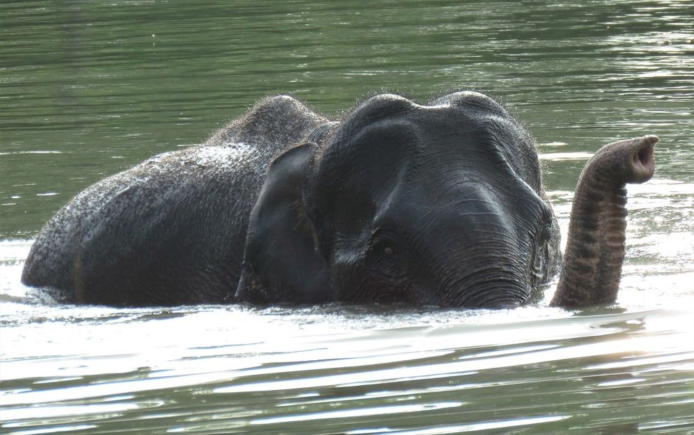 Photograph by ANISH BISWAS