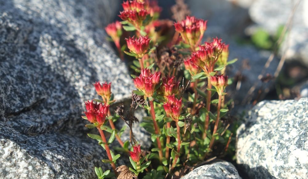 Photograph by Ольга Антохина