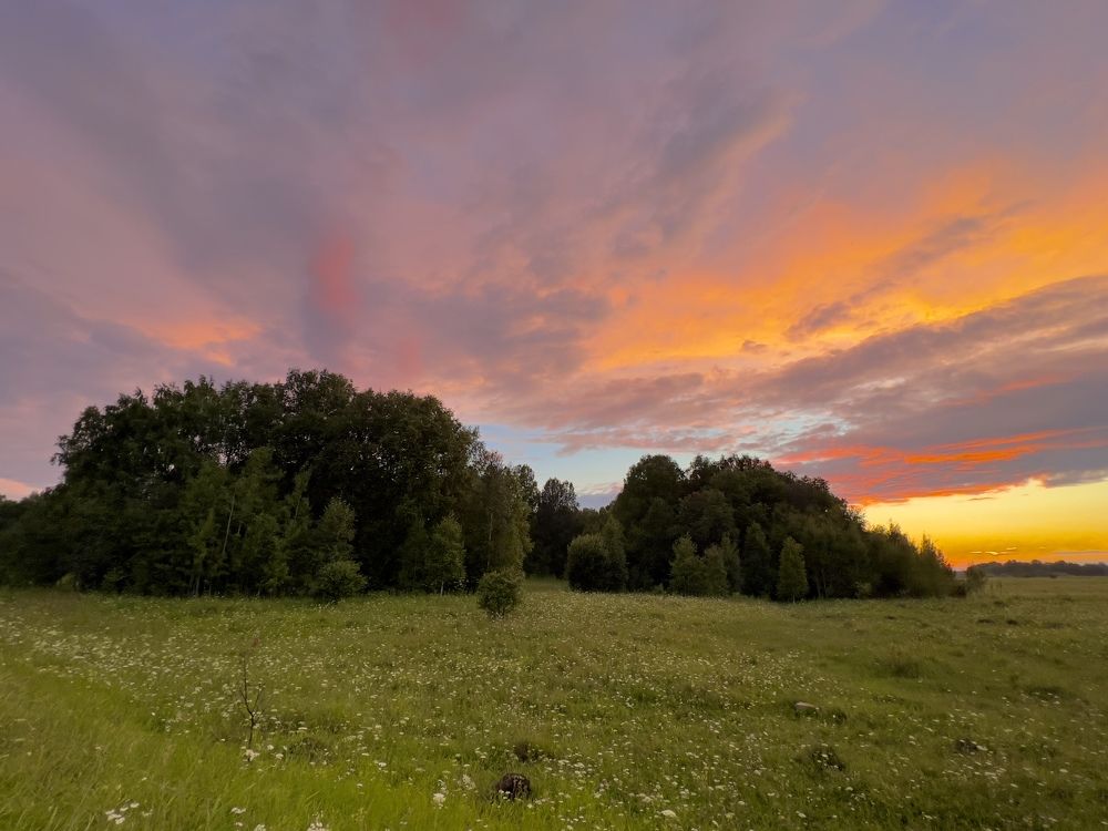 Летний закат