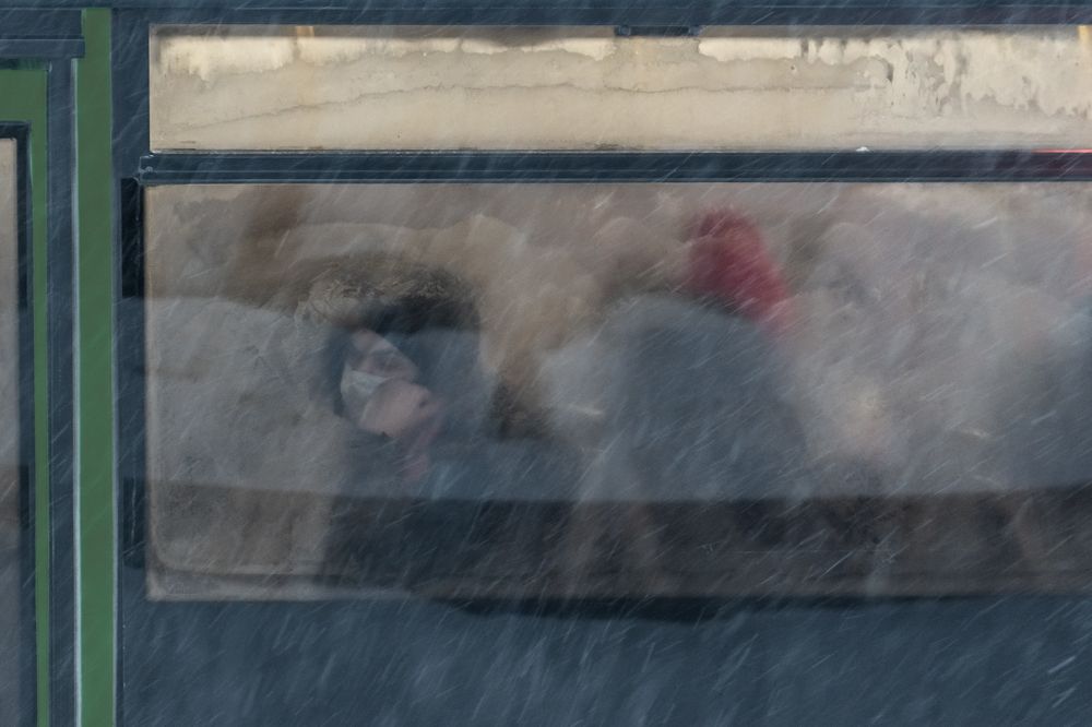 Фотография автора Елена Герасевич