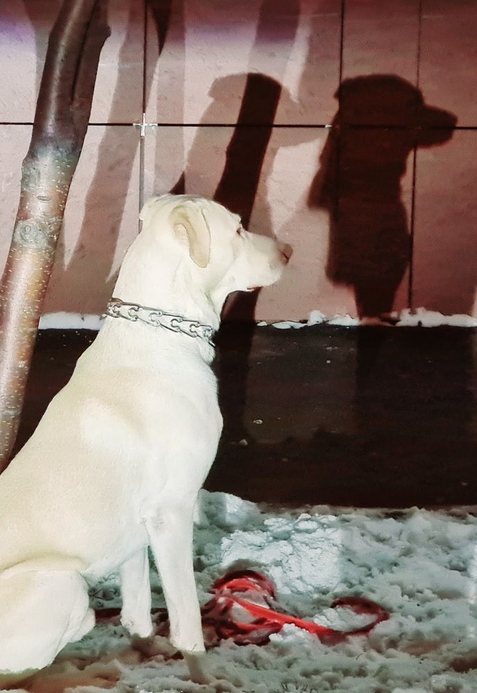 Photograph by Ирина Синягина