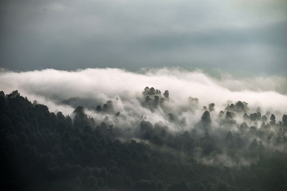 Фотография автора Farhad Alidost