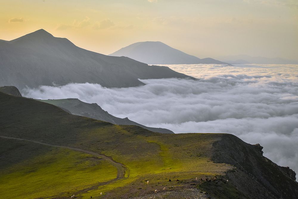 Фотография автора Farhad Alidost