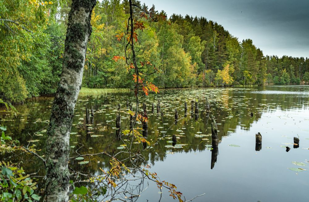 На Рыбачьем озере
