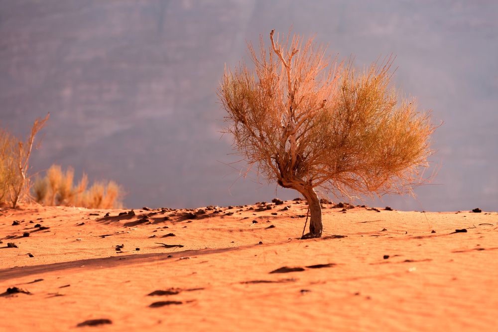 Photograph by Nataliya Nazarova