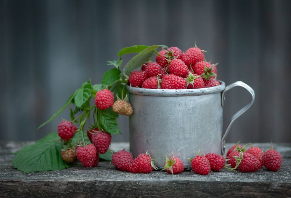 Photograph by Александр Гвоздь