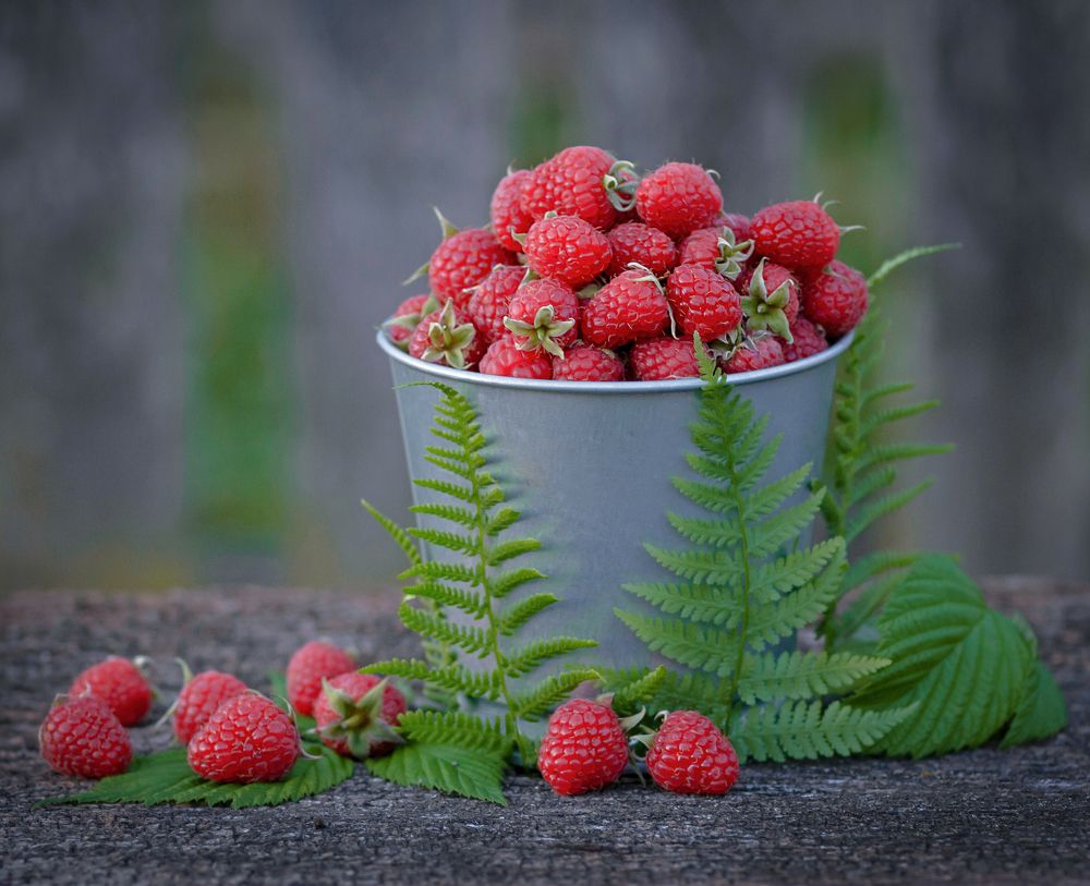 Photograph by Александр Гвоздь