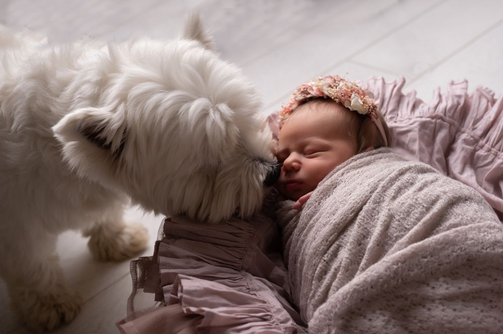 Photograph by Татьяна Тарасенко