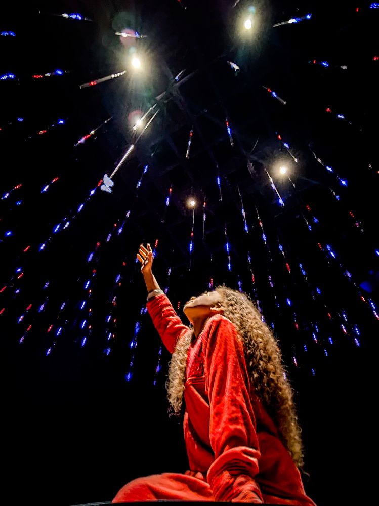 Фотография автора Anuj Medhavi