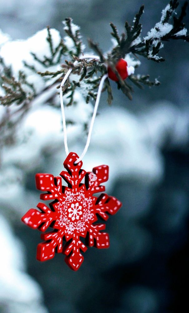 Фотография автора Валерия