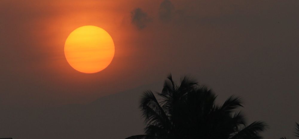 Photograph by Praveen kumar Sampath