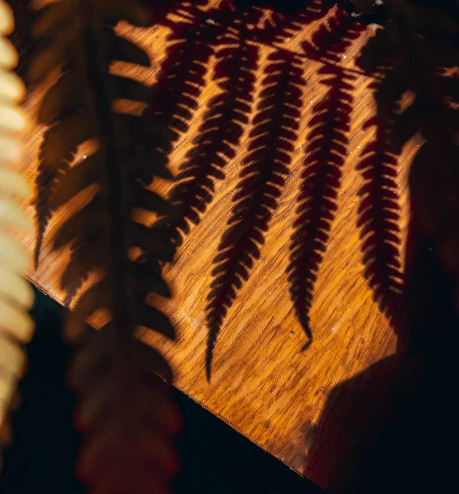 Фотография автора Валерия