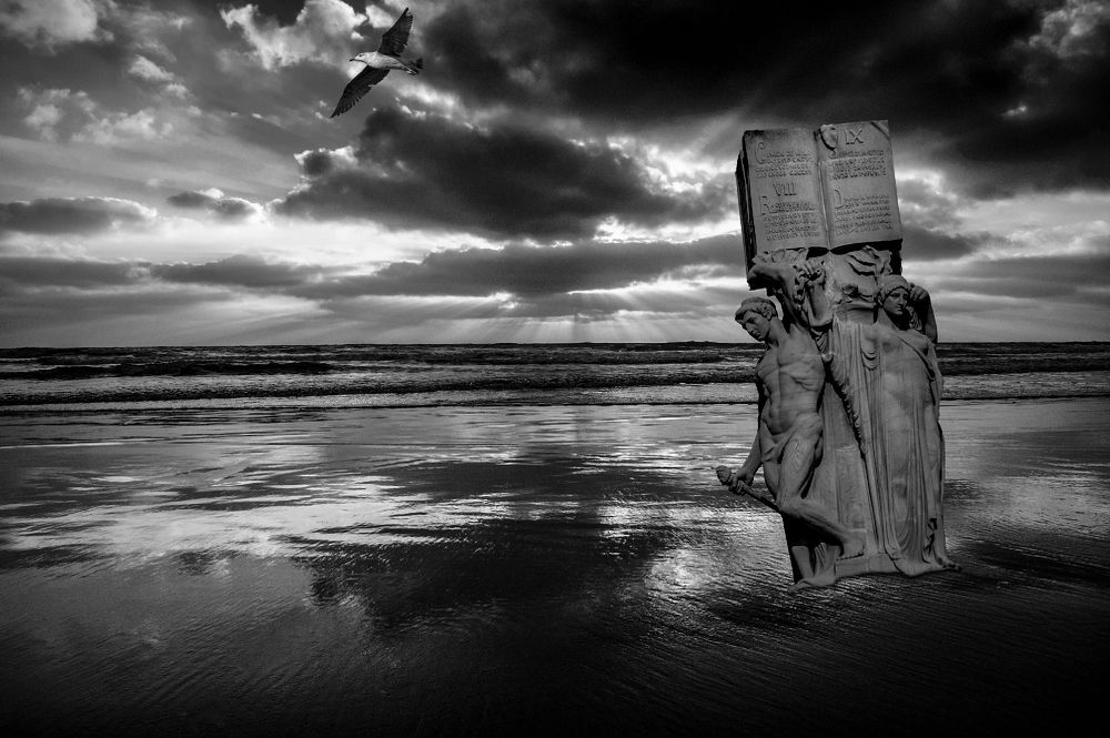 Photograph by Manuel J. Domínguez Jiménez