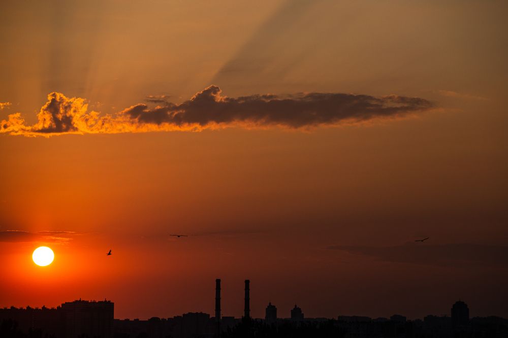 Photograph by Sergei Komlev