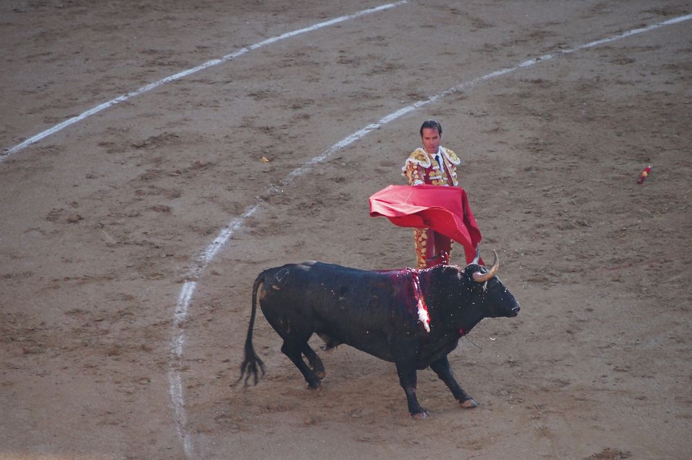 Photograph by Vladimir Rybalko