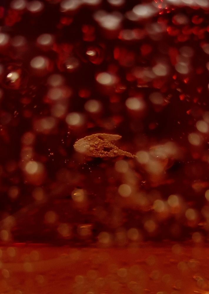 Photograph by Екатерина Савеня