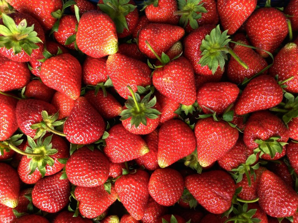 Photograph by Elena Lopatina