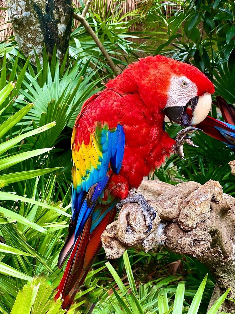 Photograph by Евгения Казакова