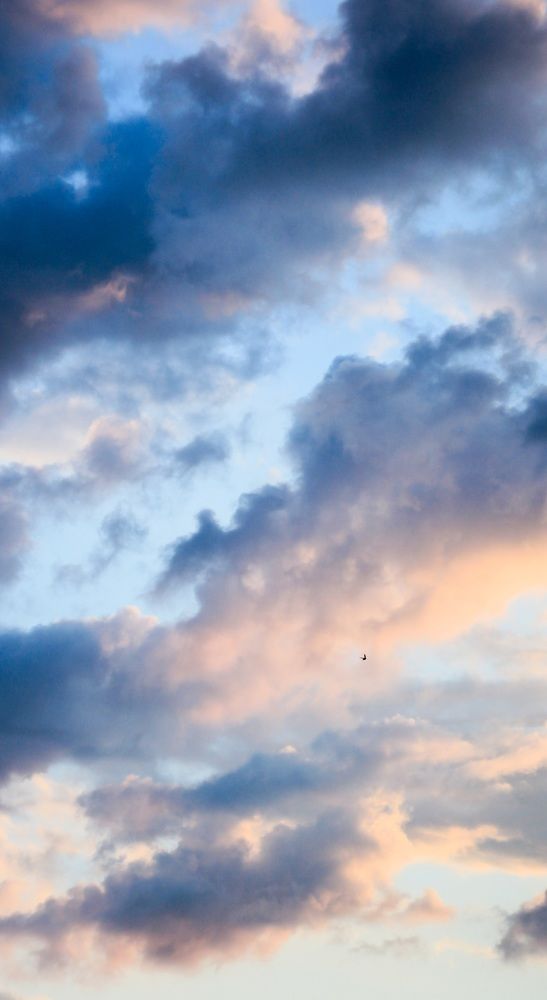 Фотография автора Валерия Правдюк