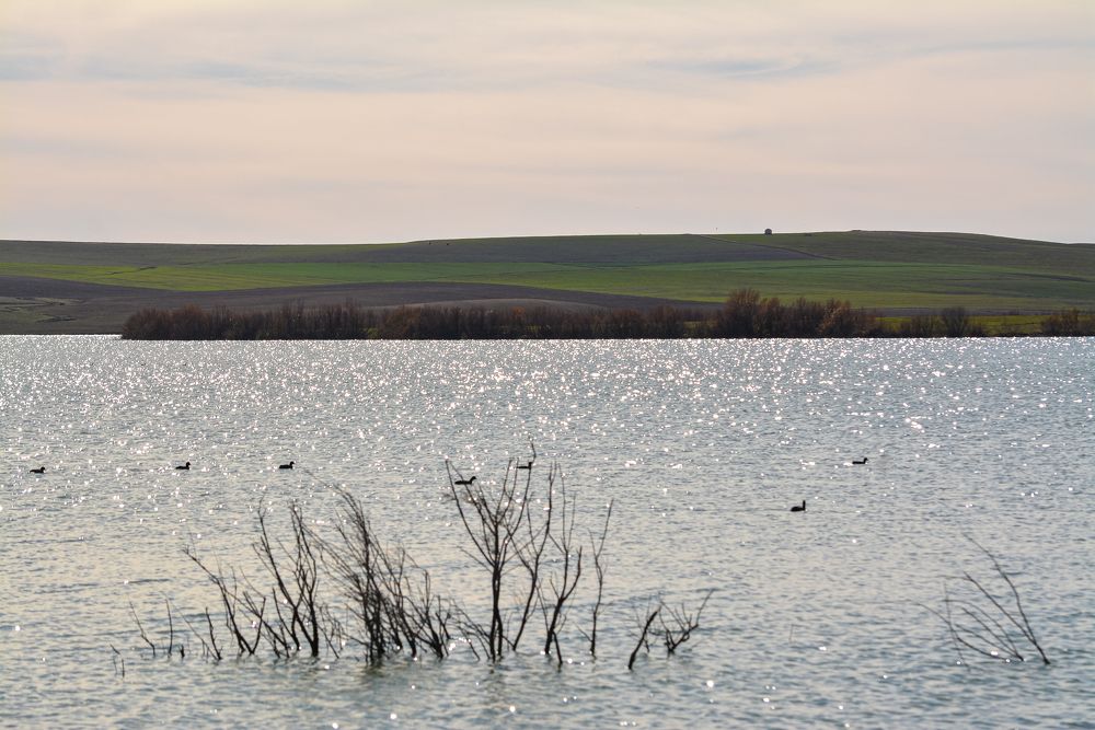 Photograph by Bachir Rabouh