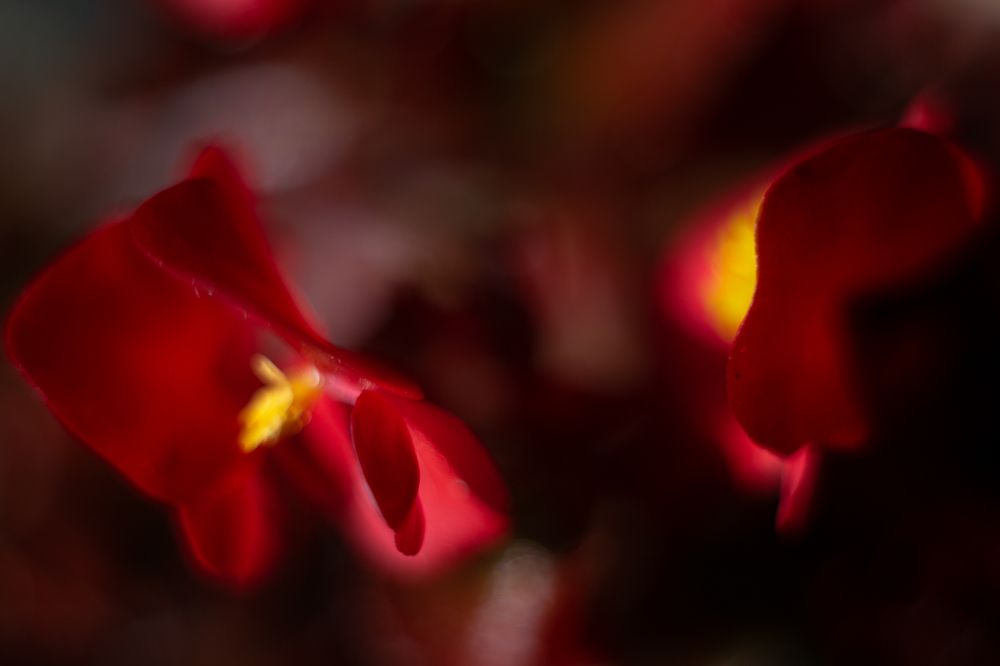 Фотография автора Ольга Матусевич