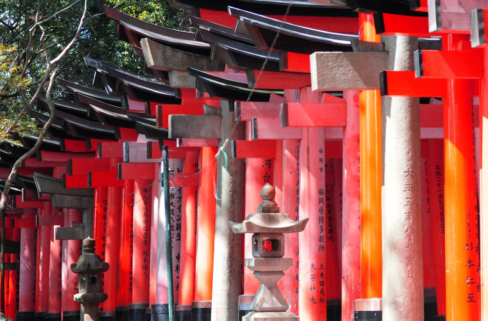 Фотография автора Наталья Белова