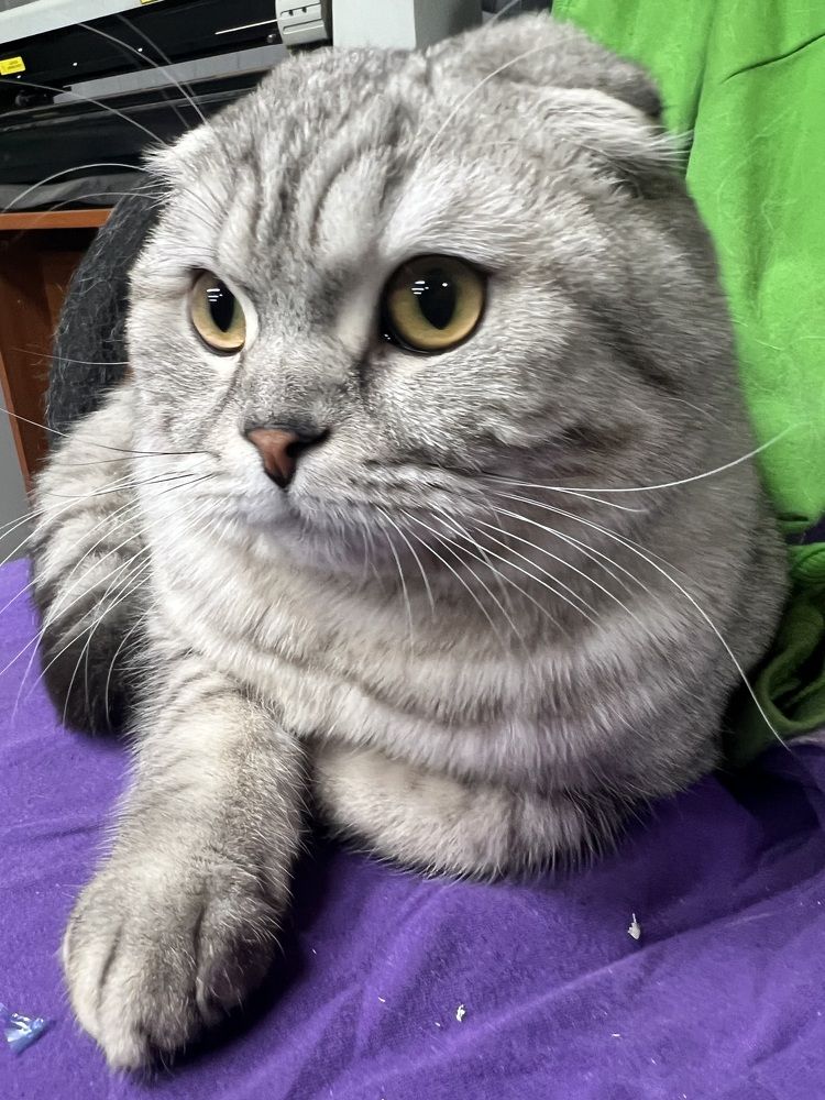 Photograph by Елена Мусина