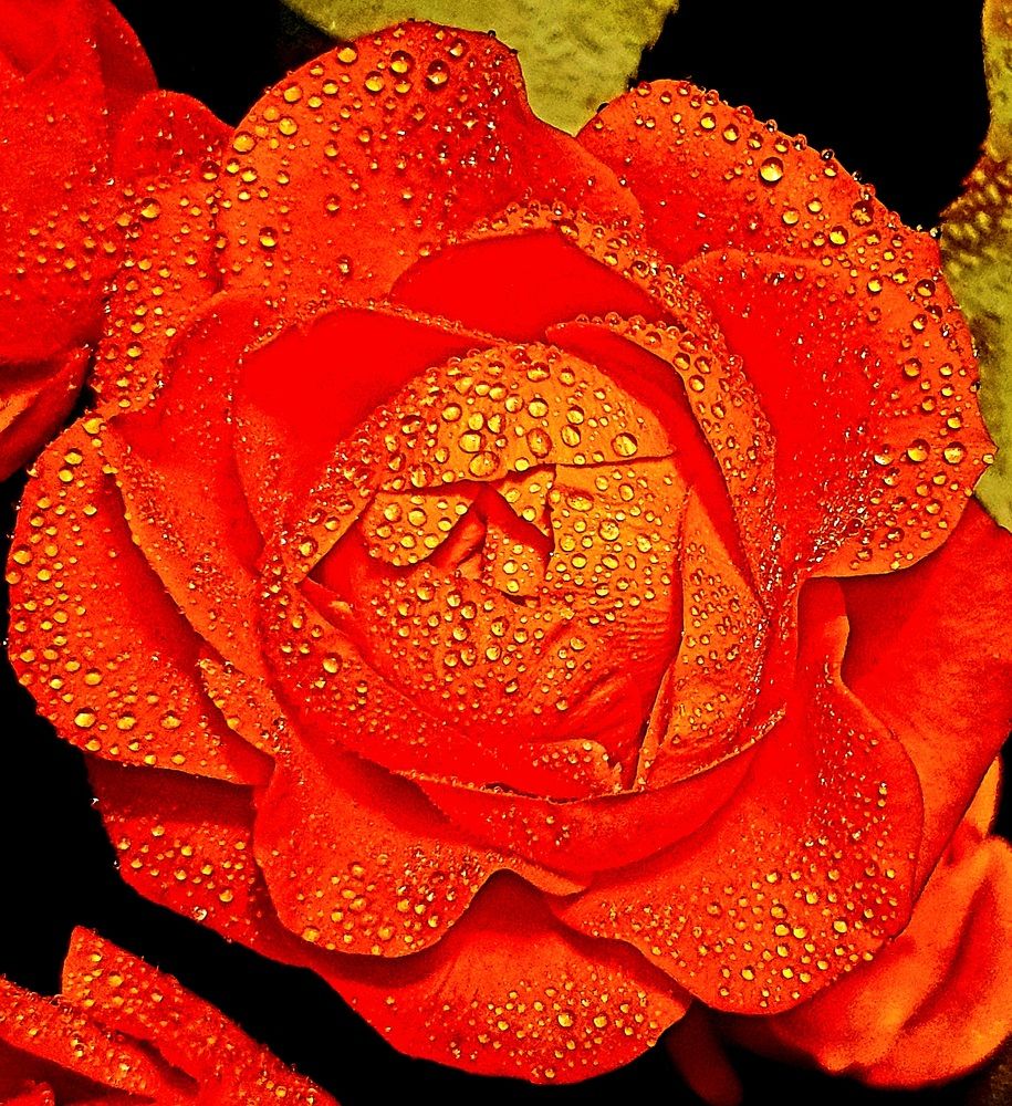 Photograph by Ева К