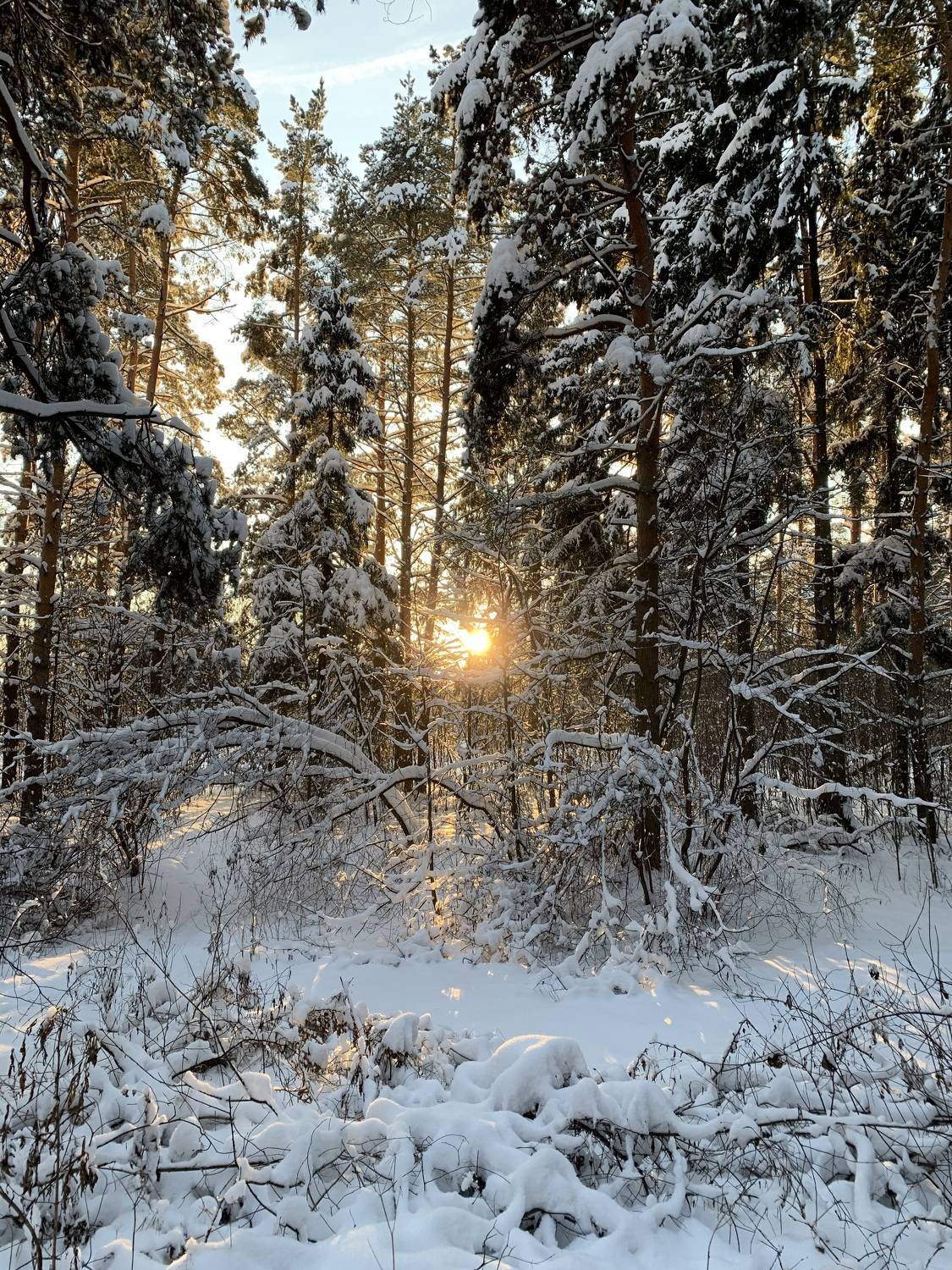 Photo #8393833