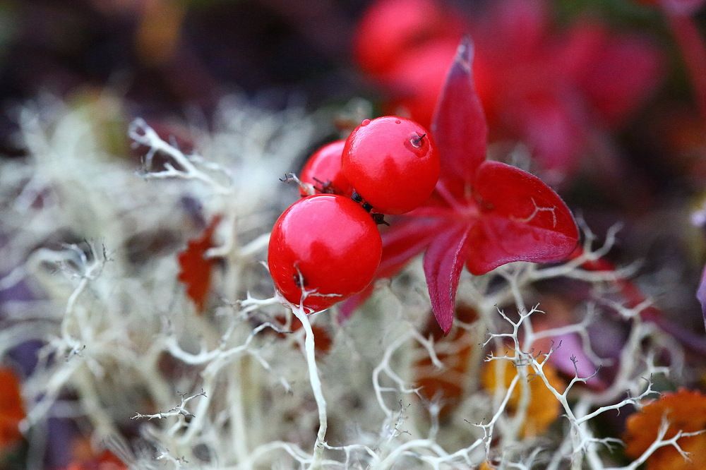 Photograph by VictОr