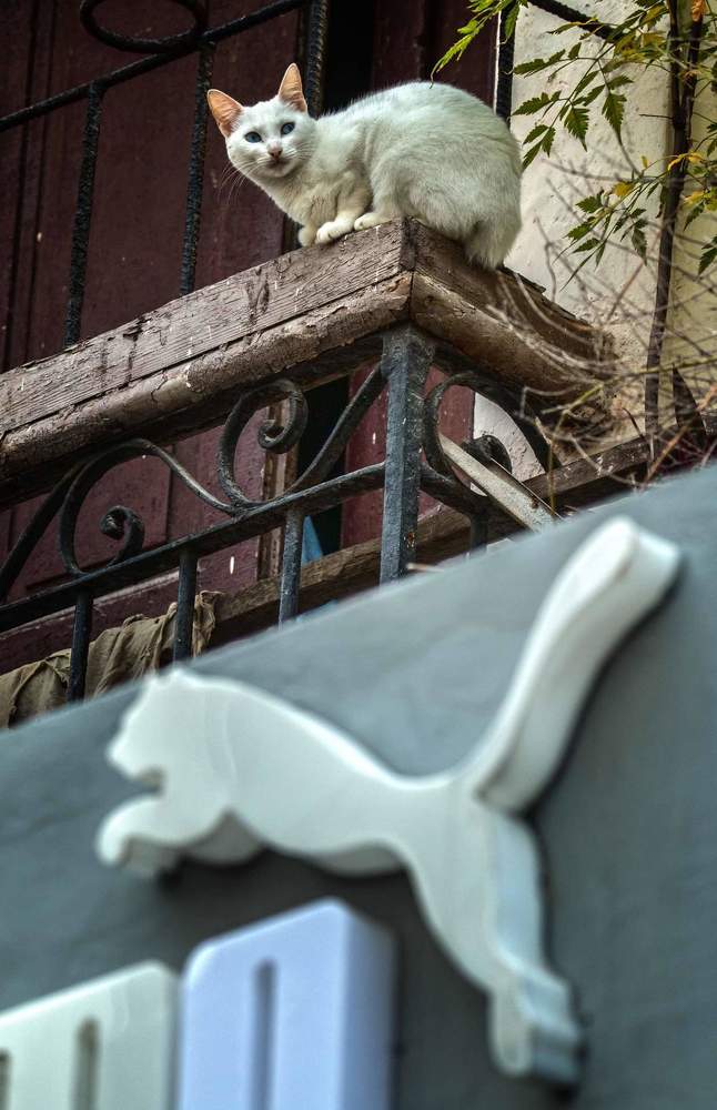 Photograph by Otto Acosta