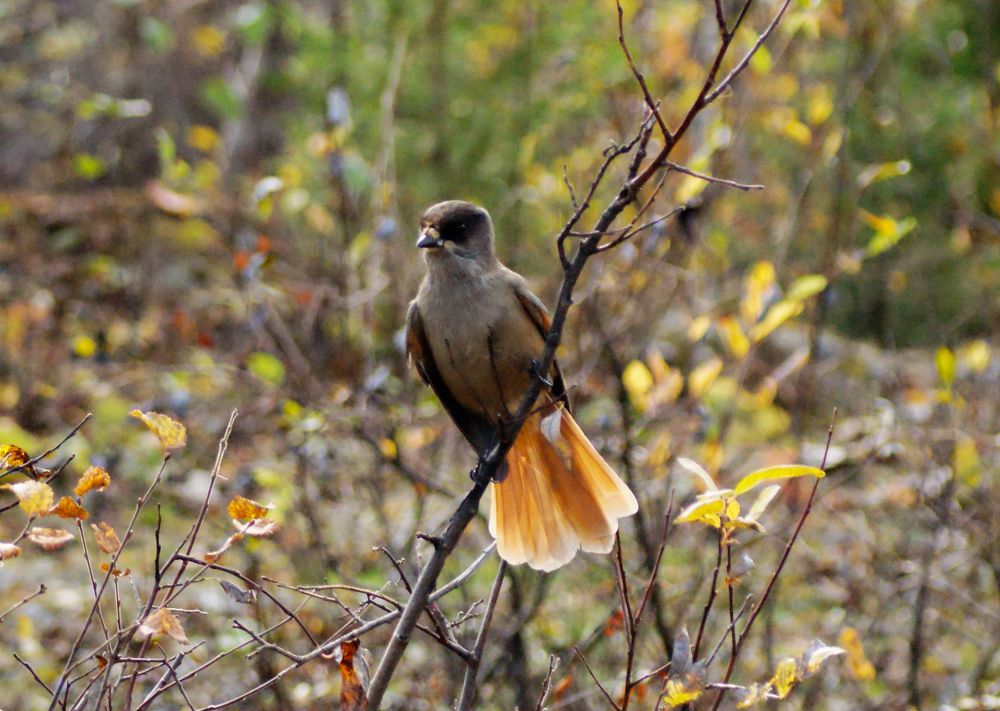 Photograph by Карина Заводчикова