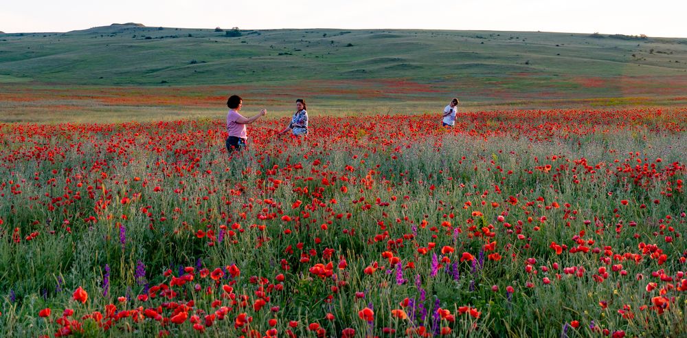 Photograph by Евгений Греков
