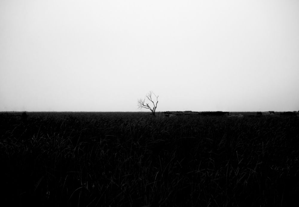 Photograph by Hassan Ali Al Asadi