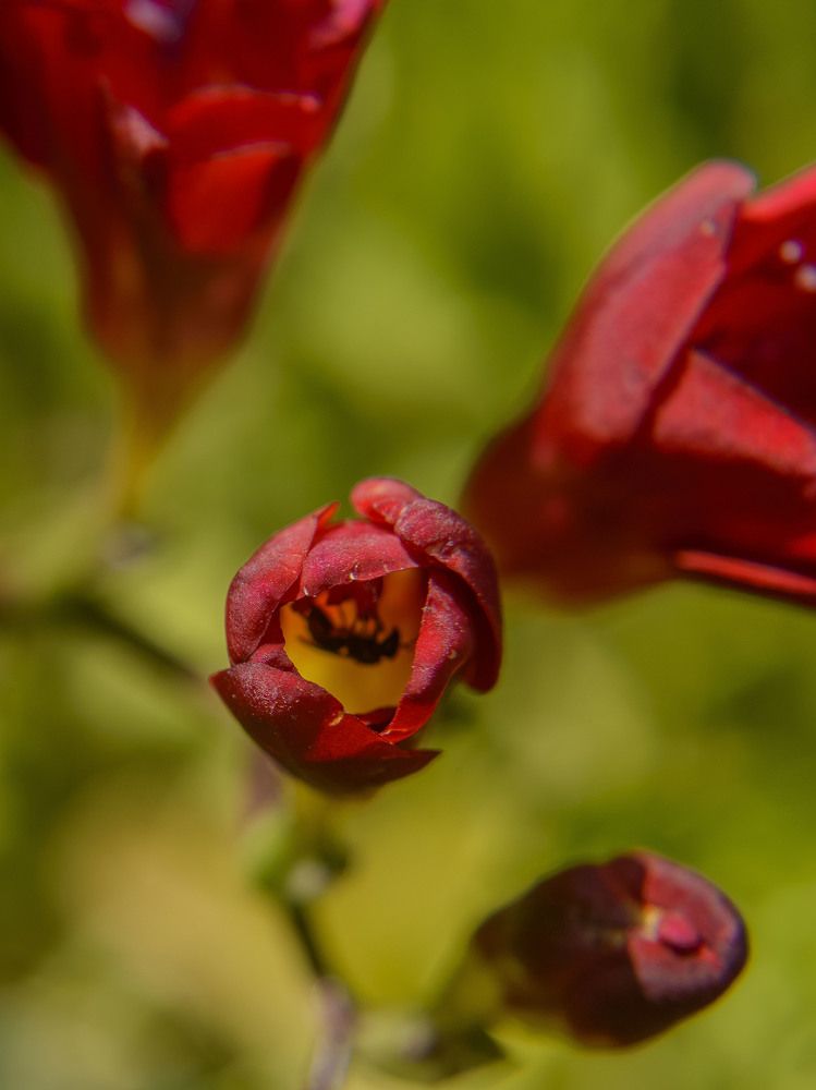 Photograph by Иван Коляда