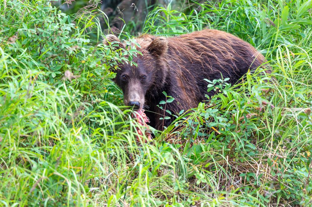 Photograph by Sergey