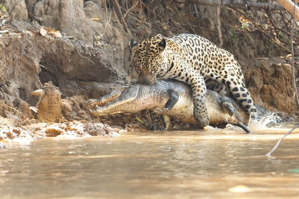 Photograph by Игорь Щербаков