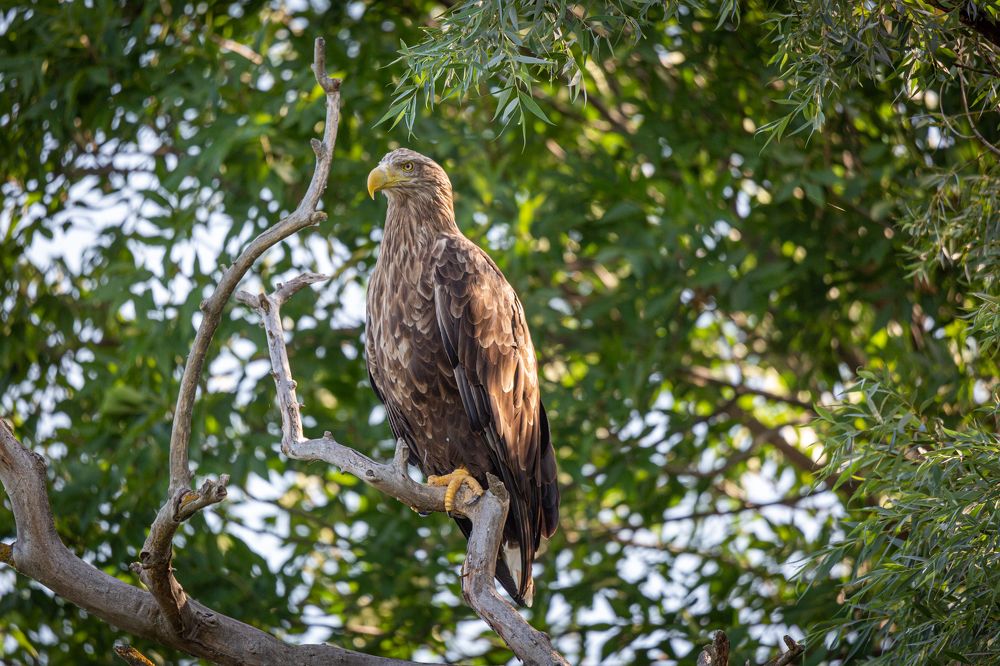 Photograph by Sergey