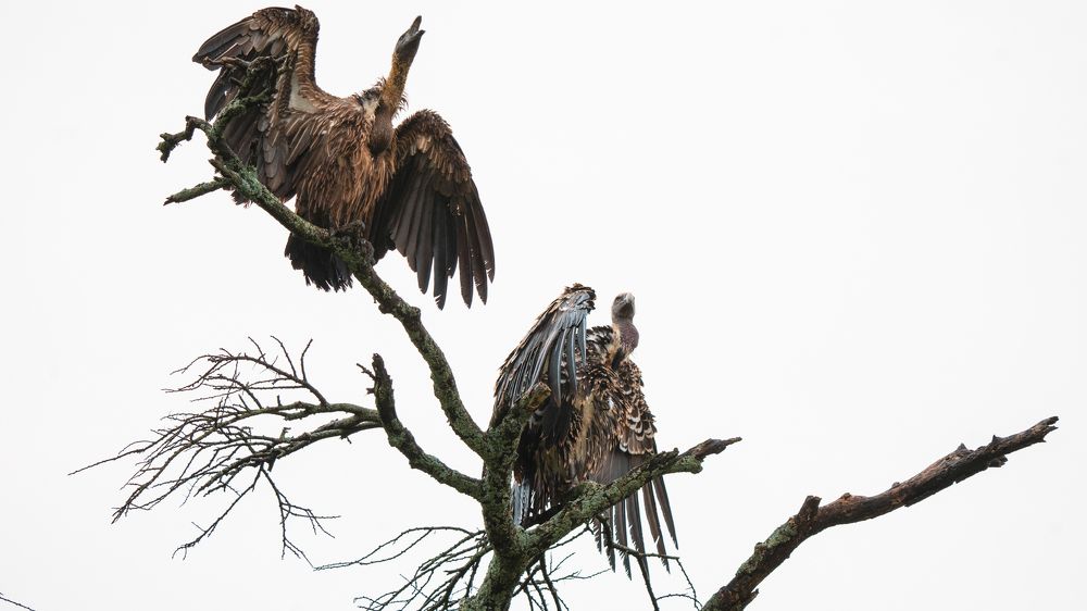 Photograph by Khazov Artem