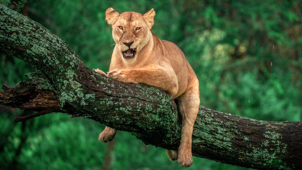 Photograph by Khazov Artem