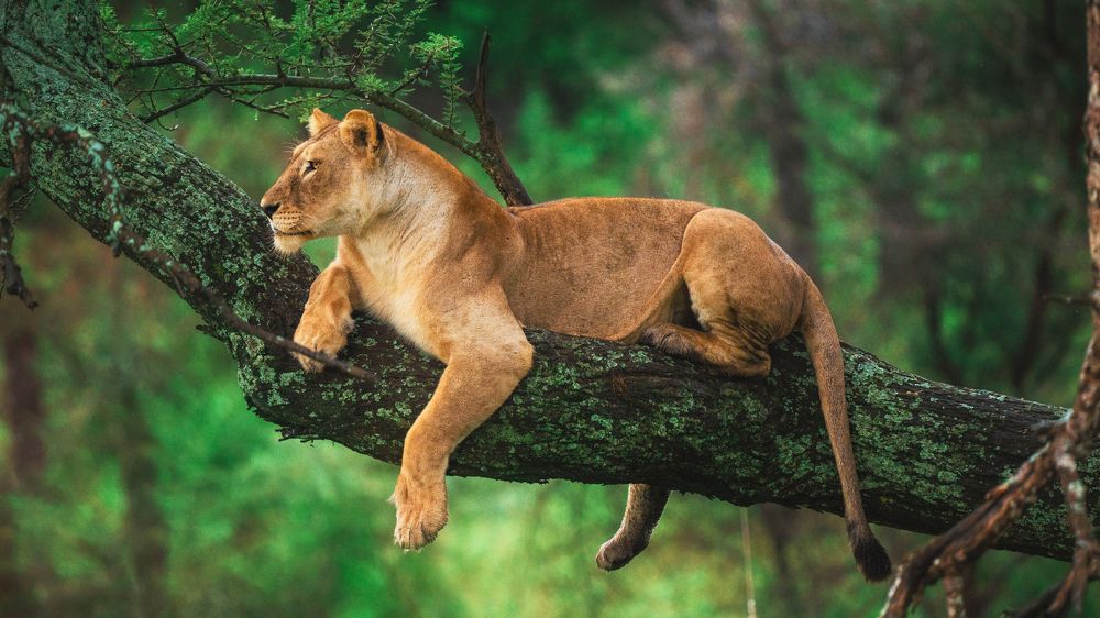 Photograph by Khazov Artem