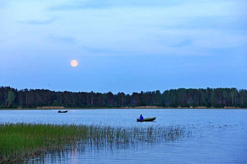 Фотография автора Сергей Барановский