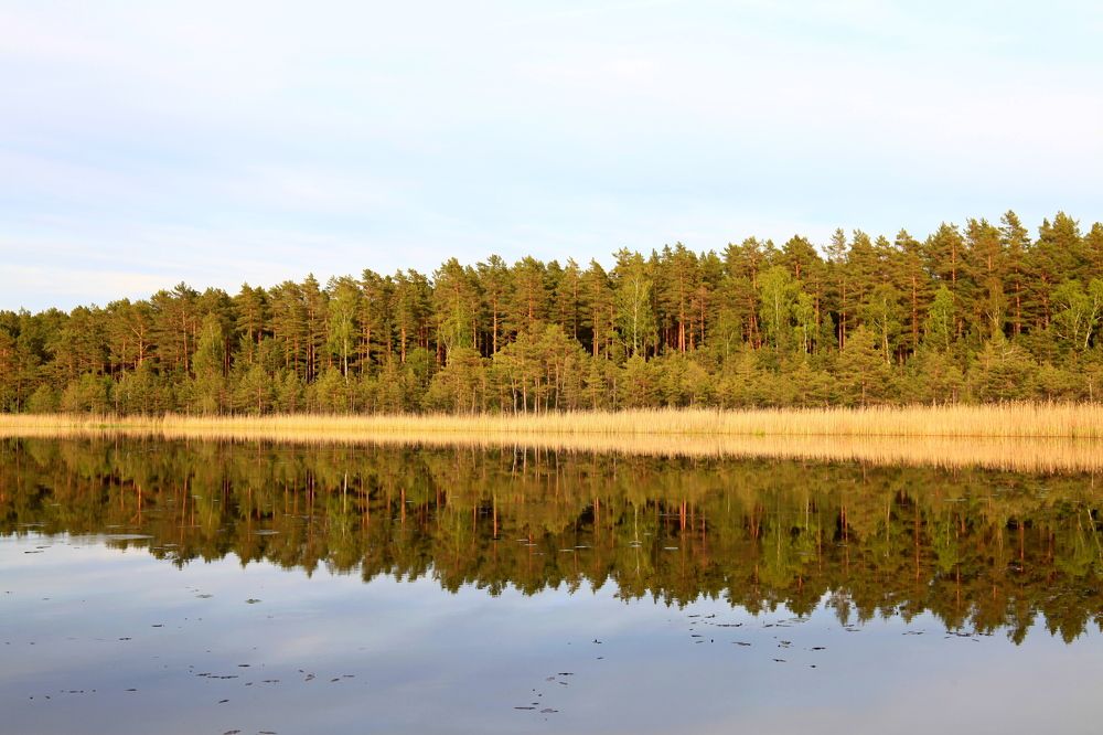 Фотография автора Сергей Барановский