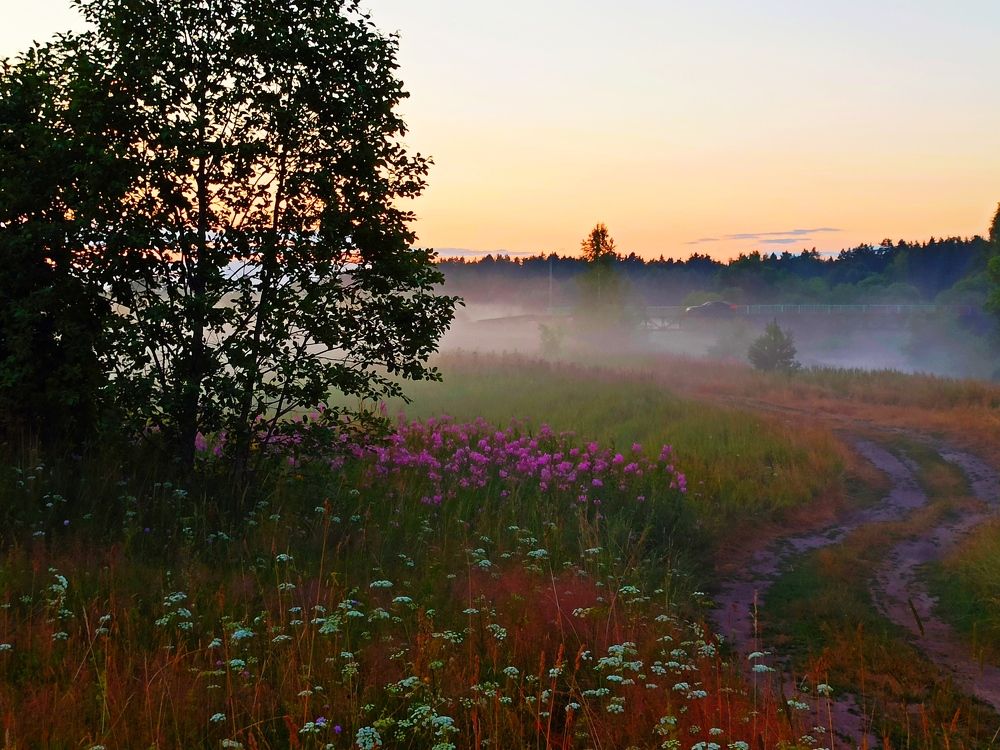 Photograph by Елена