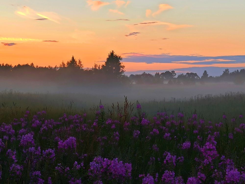 Photograph by Елена