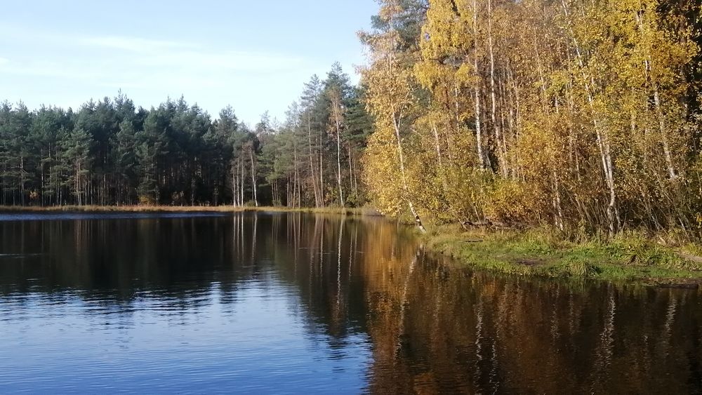 Photograph by Митя Стрельников